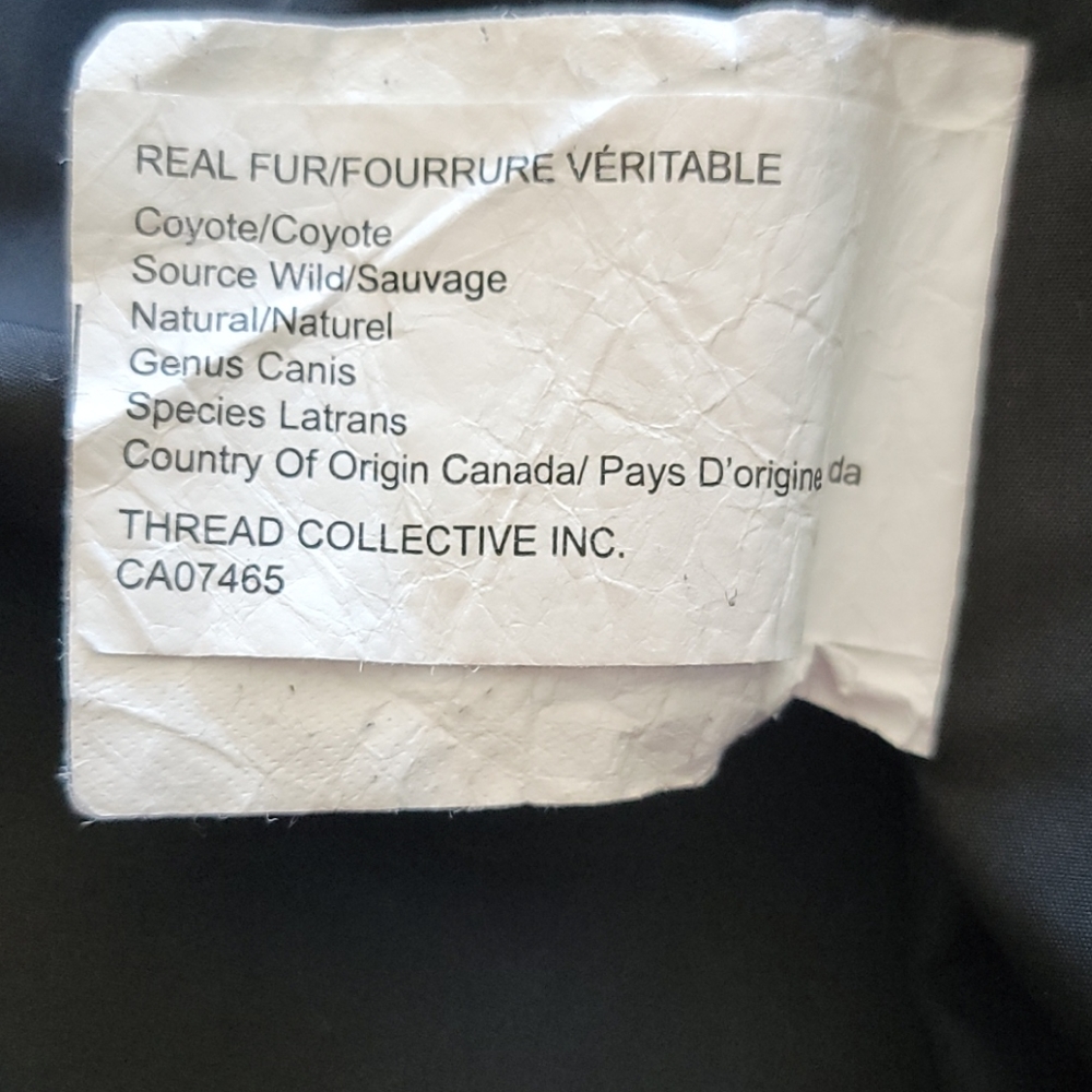 Winter Jacket - Picture 4 of 5